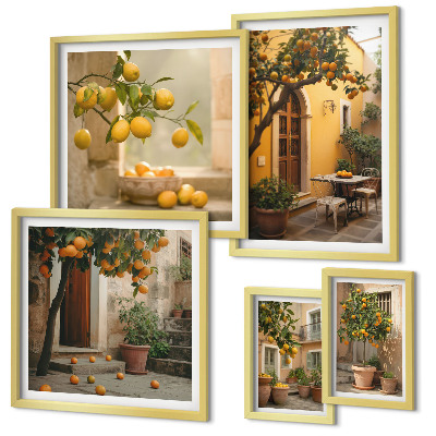 Conjunto de 5 quadros decorativos Frutas cítricas no jardim