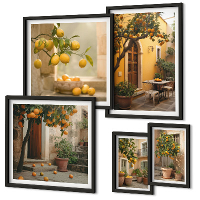 Conjunto de 5 quadros decorativos Frutas cítricas no jardim