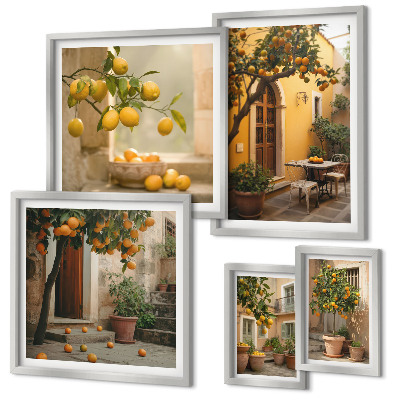Conjunto de 5 quadros decorativos Frutas cítricas no jardim