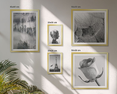 Parede galeria de quadros cidade da natureza em preto e branco