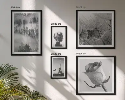 Galeria de quadros de parede cidade e natureza em preto e branco