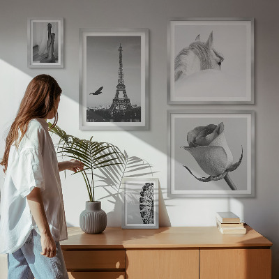 Galeria de parede Imagens elegantes em preto e branco