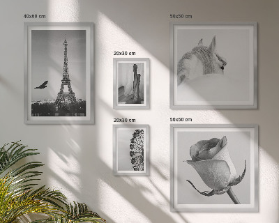 Galeria de parede Imagens elegantes em preto e branco