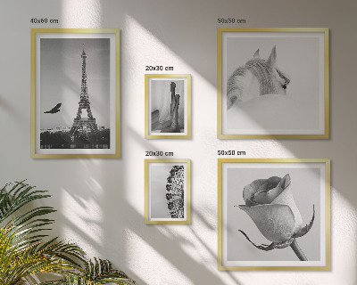 Galeria de parede Imagens elegantes em preto e branco