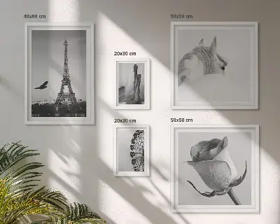 Galeria de parede com imagens elegantes em preto e branco