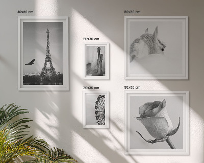 Galeria de parede Imagens elegantes em preto e branco