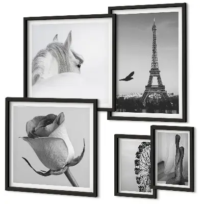 Galeria de parede com imagens elegantes em preto e branco