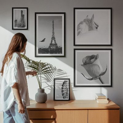 Galeria de parede Imagens elegantes em preto e branco