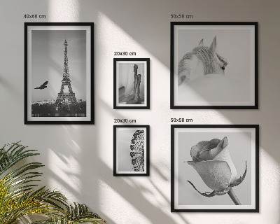 Galeria de parede Imagens elegantes em preto e branco