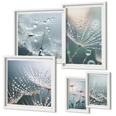 Conjunto de 5 quadros com moldura estampa de plantas minimalistas com gotas de orvalho