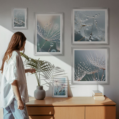 Conjunto de 5 quadros com moldura Plantas minimalistas de gotas de orvalho