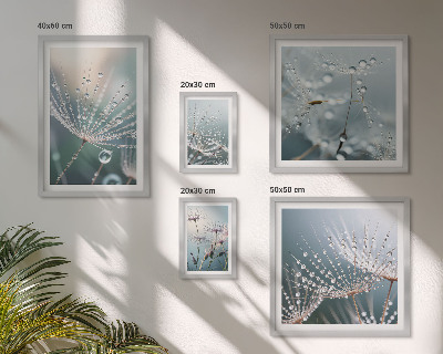 Conjunto de 5 quadros com moldura Plantas minimalistas de gotas de orvalho