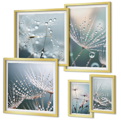 Conjunto de 5 quadros com moldura Plantas minimalistas de gotas de orvalho
