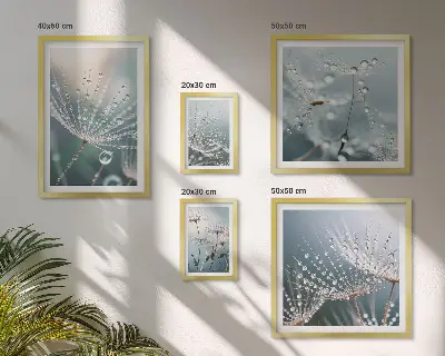 Conjunto de 5 quadros com moldura estampa de plantas minimalistas com gotas de orvalho