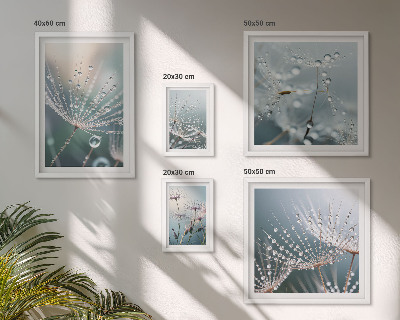 Conjunto de 5 quadros com moldura Plantas minimalistas de gotas de orvalho