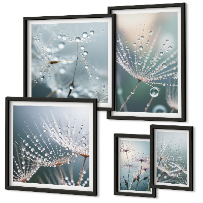 Conjunto de 5 quadros com moldura Plantas minimalistas de gotas de orvalho