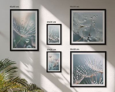 Conjunto de 5 quadros com moldura Plantas minimalistas de gotas de orvalho