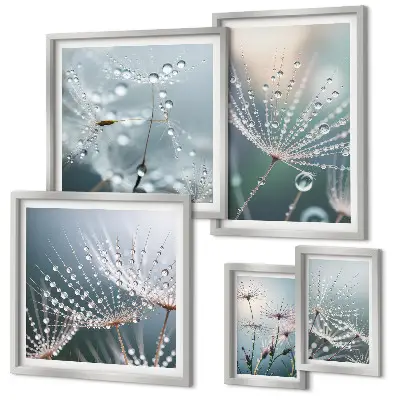 Conjunto de 5 quadros com moldura estampa de plantas minimalistas com gotas de orvalho