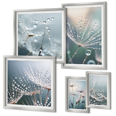 Conjunto de 5 quadros com moldura Plantas minimalistas de gotas de orvalho