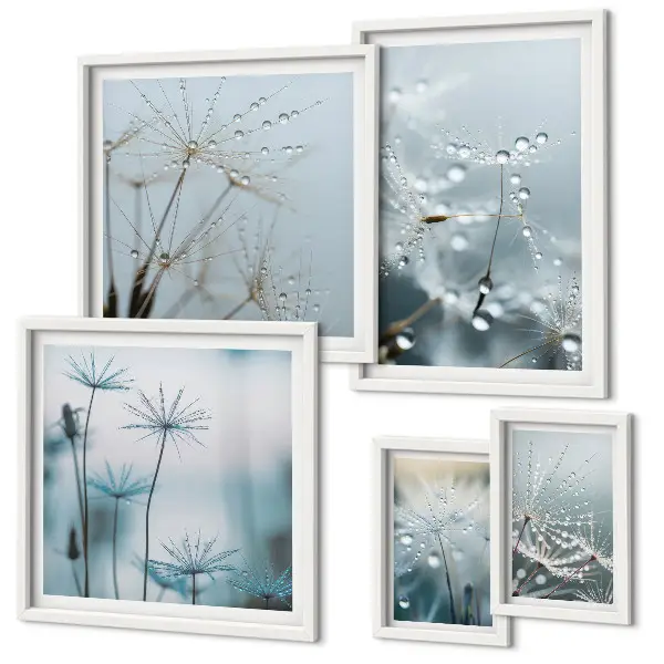 Conjunto de 5 quadros decorativos com motivos vegetais e gotas de água