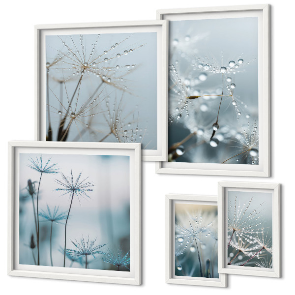 Conjunto de 5 quadros decorativos Motivos vegetais, gotas de água