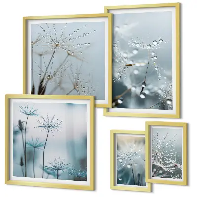 Conjunto de 5 quadros decorativos com motivos vegetais e gotas de água