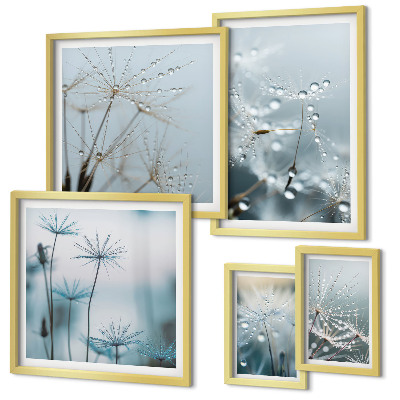 Conjunto de 5 quadros decorativos Motivos vegetais, gotas de água