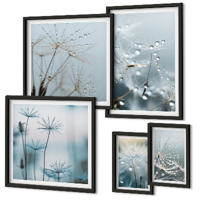 Conjunto de 5 quadros decorativos Motivos vegetais, gotas de água