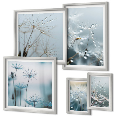 Conjunto de 5 quadros decorativos Motivos vegetais, gotas de água