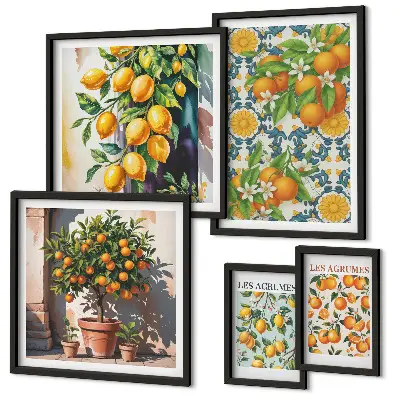 Galeria de quadros para parede com ilustrações vintage de frutas cítricas e flores