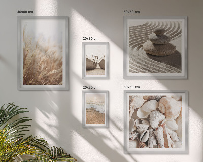 Conjunto de 5 quadros decorativos Conchas e areia da praia