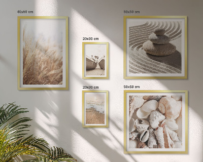 Conjunto de 5 quadros decorativos Conchas e areia da praia