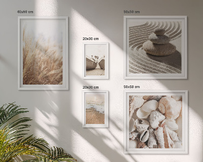 Conjunto de 5 quadros decorativos Conchas e areia da praia