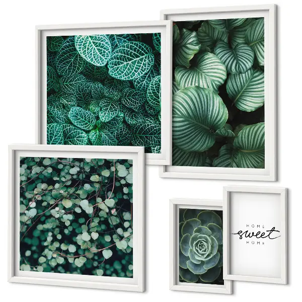 Conjunto de 5 quadros decorativos com estampas de folhas verdes modernas