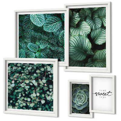 Conjunto de 5 quadros com moldura Folhas verdes plantas modernas