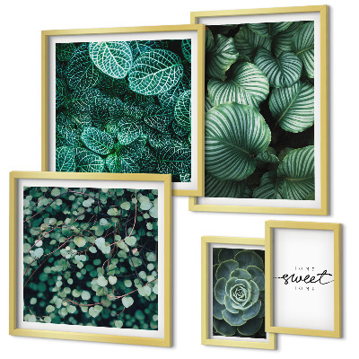 Conjunto de 5 quadros com moldura Folhas verdes plantas modernas