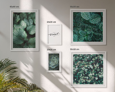 Conjunto de 5 quadros com moldura Folhas verdes plantas modernas
