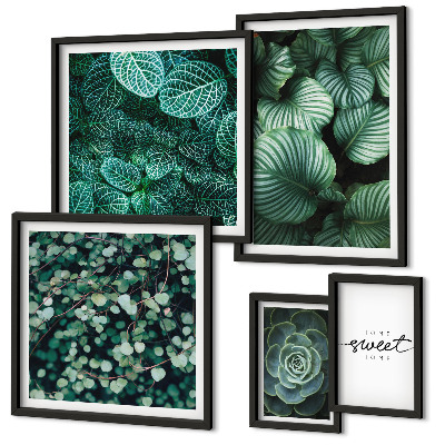 Conjunto de 5 quadros com moldura Folhas verdes plantas modernas