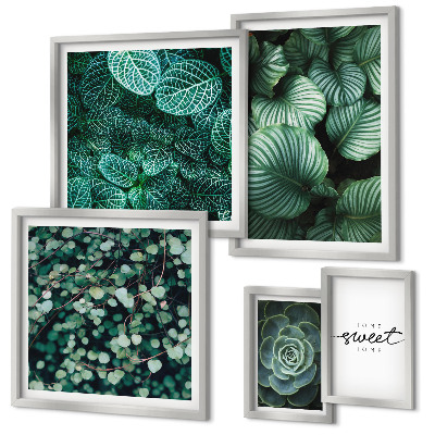 Conjunto de 5 quadros com moldura Folhas verdes plantas modernas