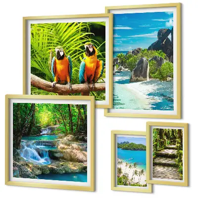 Conjunto de 5 quadros decorativos com paisagens tropicais, pássaros e cachoeiras