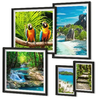 Conjunto de 5 quadros decorativos com paisagens tropicais, pássaros e cachoeiras