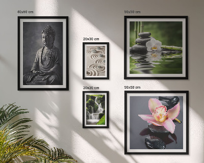 Conjunto de 5 quadros decorativos A atmosfera zen relaxante da natureza