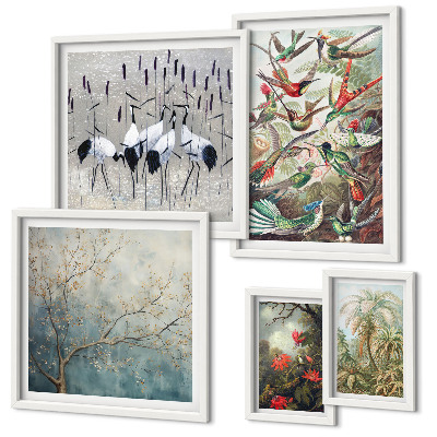 Conjunto de 5 quadros com moldura pássaros tropicais vintage