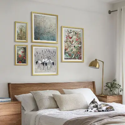 Conjunto de 5 quadros com moldura estampa de pássaros tropicais vintage