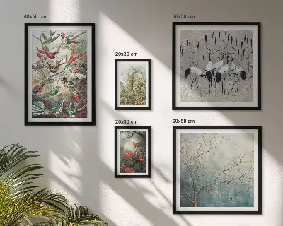 Conjunto de 5 quadros com moldura estampa de pássaros tropicais vintage
