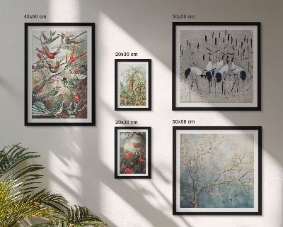 Conjunto de 5 quadros com moldura pássaros tropicais vintage