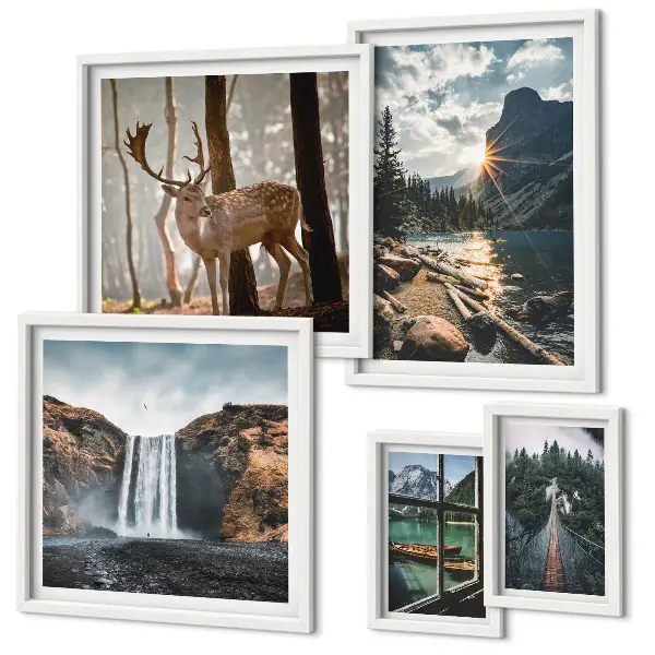 Conjunto de 5 quadros com moldura com temas de paisagens naturais, cachoeiras e fauna