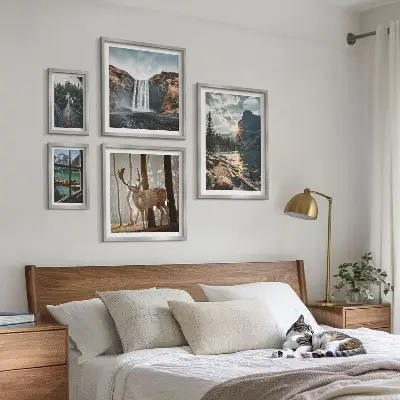 Conjunto de 5 quadros com moldura com temas de paisagens naturais, cachoeiras e fauna