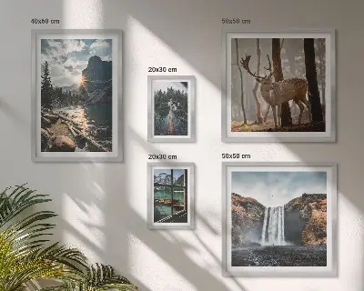 Conjunto de 5 quadros com moldura com temas de paisagens naturais, cachoeiras e fauna