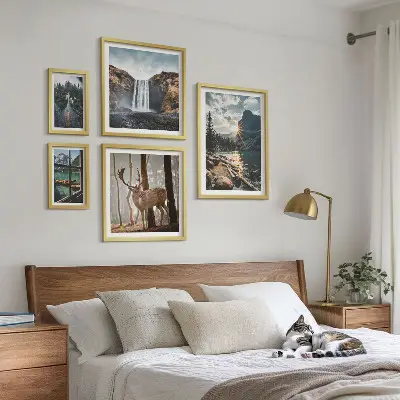 Conjunto de 5 quadros com moldura com temas de paisagens naturais, cachoeiras e fauna